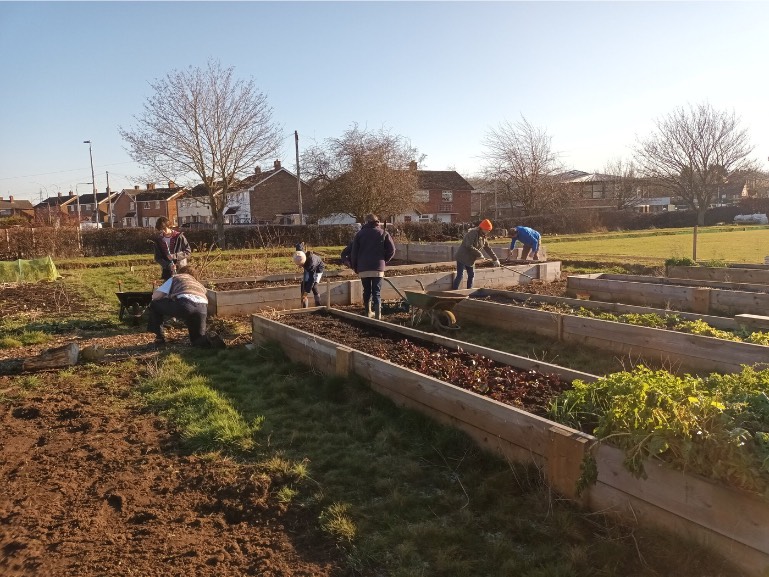 Farming in the very first raised beds